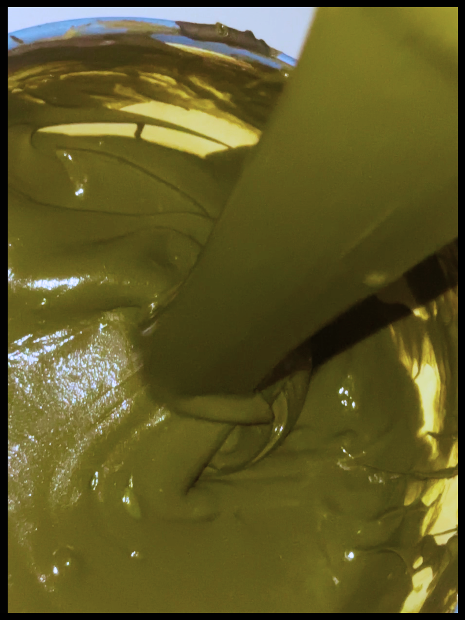 Budget Henna Powder Stringy