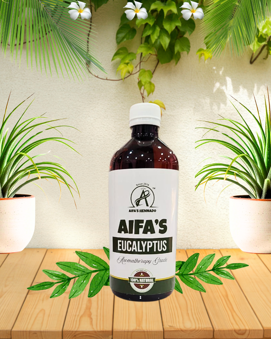 Essential Oil - Eucalyptus 100% Pure